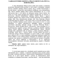 06-darko-radic-zrm.pdf