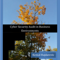 cyber-security-audit-in-business-environments-12.12.2018-1-.pdf